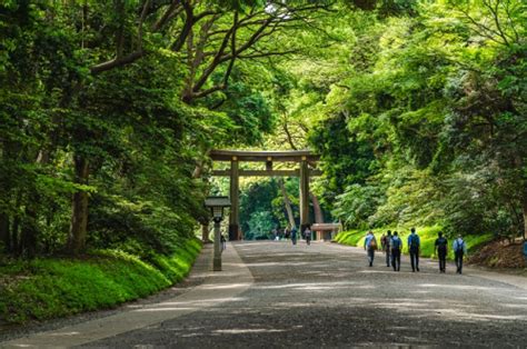 東京 風水|最強！パワースポット巡りin東京｜日本交通東京観光 